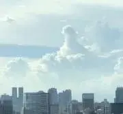 のの画像