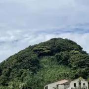 ココナッツ0☆の画像