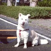 junjunの画像