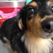 こうくんばあ