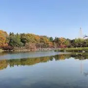 panmimi☆の画像