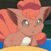 ロコちゃんの画像