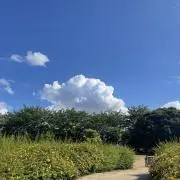 ぐりとぐらの画像