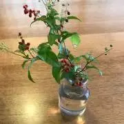 いつかきっとの画像