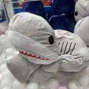 ゆ。の画像