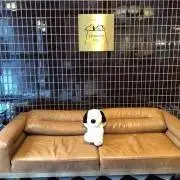 ykの画像