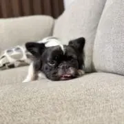 kumiの画像
