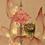 葉月の画像
