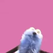 ａｏの画像