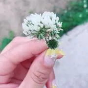 キキ