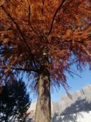 ミツビシの画像