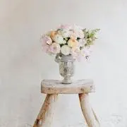 ihaの画像
