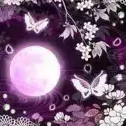 ᏕᎯᏦᏌᏒᎯ ꕤ*.゜の画像