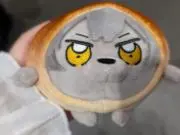 しおの画像