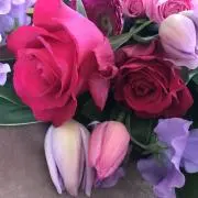 プロフ必読 Judyの画像