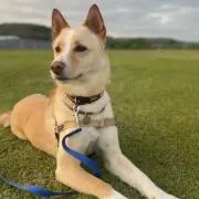 kumamiの画像