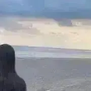 こんこんの画像