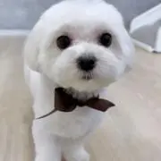 ☺︎の画像