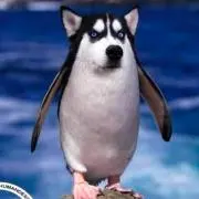 K'★迅速発送！の画像