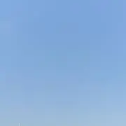 パンださん