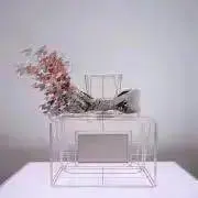CATEの画像