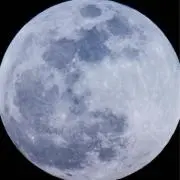 ell