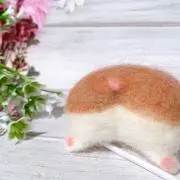 おおちゃんの画像