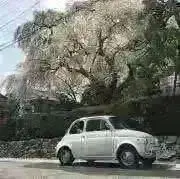 ゆうすけ
