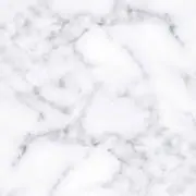 瀧の画像