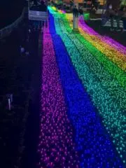ピコピコ丸