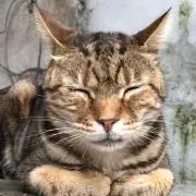 まる
