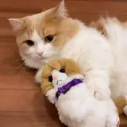M❤︎G(プロフ必読)