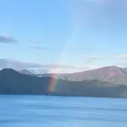 もん