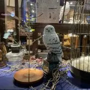 あーこの画像