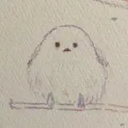 まつりの画像