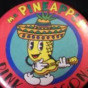 Mr.PINEAPPLE
