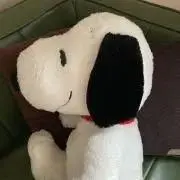 jjj