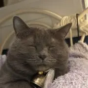 レットロメオ