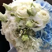 わあ◎の画像
