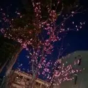 よっちん