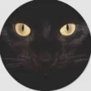 yyyyy