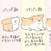 mi♩