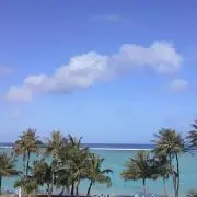 りりおん