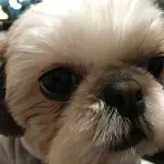 OUTDOOR PRODUCTSカーキ ランドセル 迷彩柄フィットちゃん 箱付き 