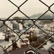 tomiの画像