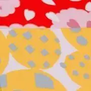 夕菜の画像