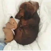 ひさ
