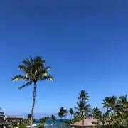 anuenueの画像
