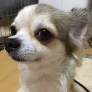 あやみん