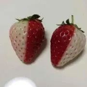 のむつむ